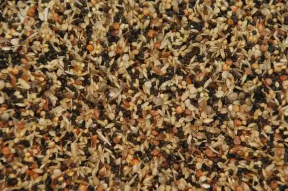 Bestel Nu Wielink Wildzangzaad 20 kg